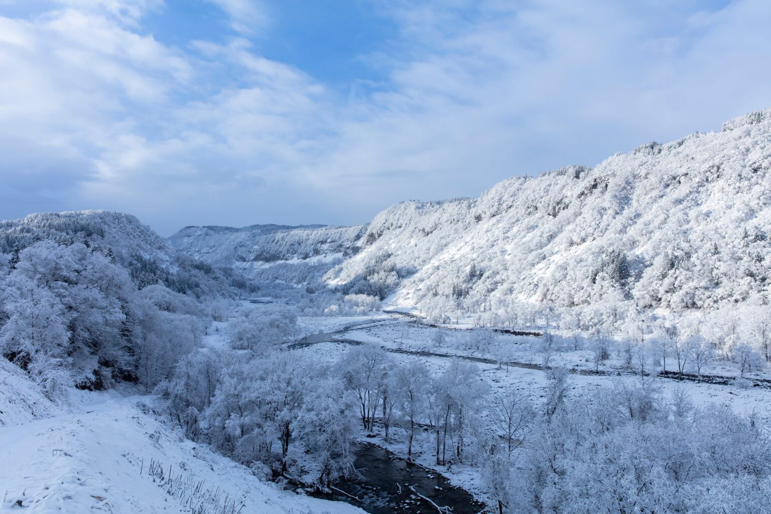 津南醸造、酒蔵で「冬蔵クリスマスフェア 2025」12月20日から7日間開催