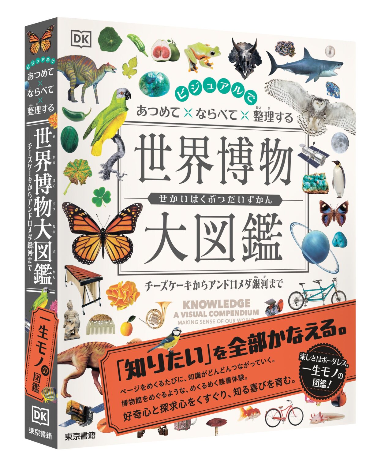 世界を“集めて並べて”学ぶ大型図鑑が発売 6,600円・320頁・図版6000点超
