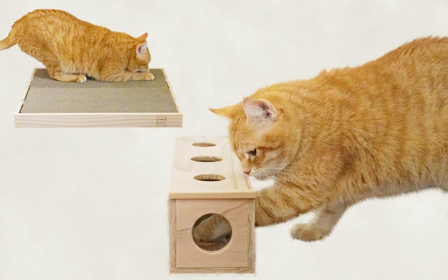 岩手・大船渡の被災木が猫用品に再生 爪とぎとおもちゃを12月12日発売