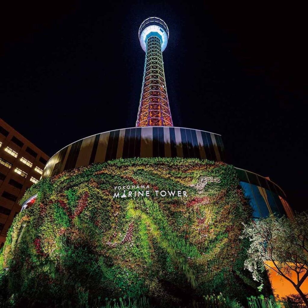 そごう横浜店、2026年福袋は1月2日9時開始 約3万個を抽選・先着で展開