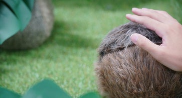 城西国際大の学生作品「Qoom」がアジアデジタルアート大賞展FUKUOKA 2025で優秀賞