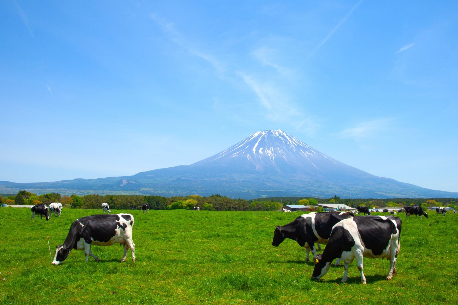 あさぎり牛乳、初の新春福袋を2160円で数量限定販売 7商品入りで通常比200円引き