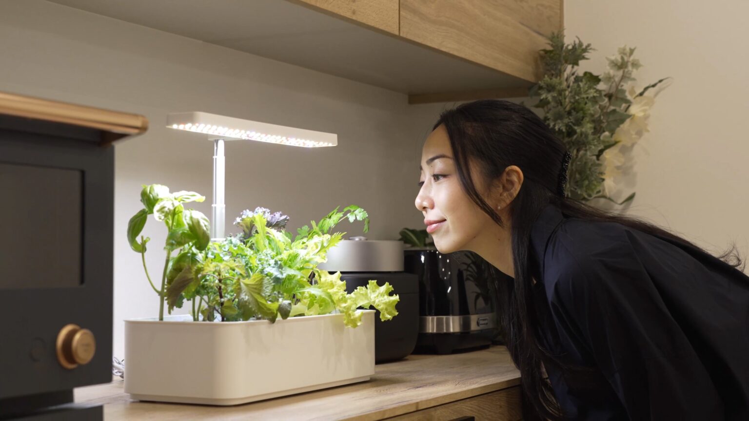 室内で土なし栽培、水耕栽培機「水の庭」発表 定価1万2800円で26年1月発売へ