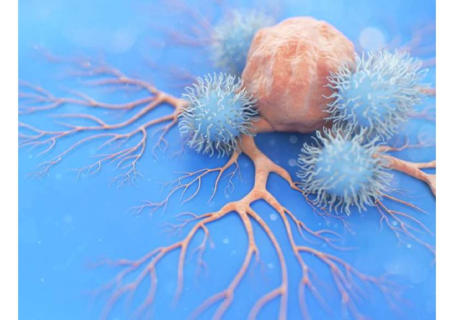 DC-BIOTECH、再生医療と創薬の中核技術を国際誌で公開 Nature系メディアが特集