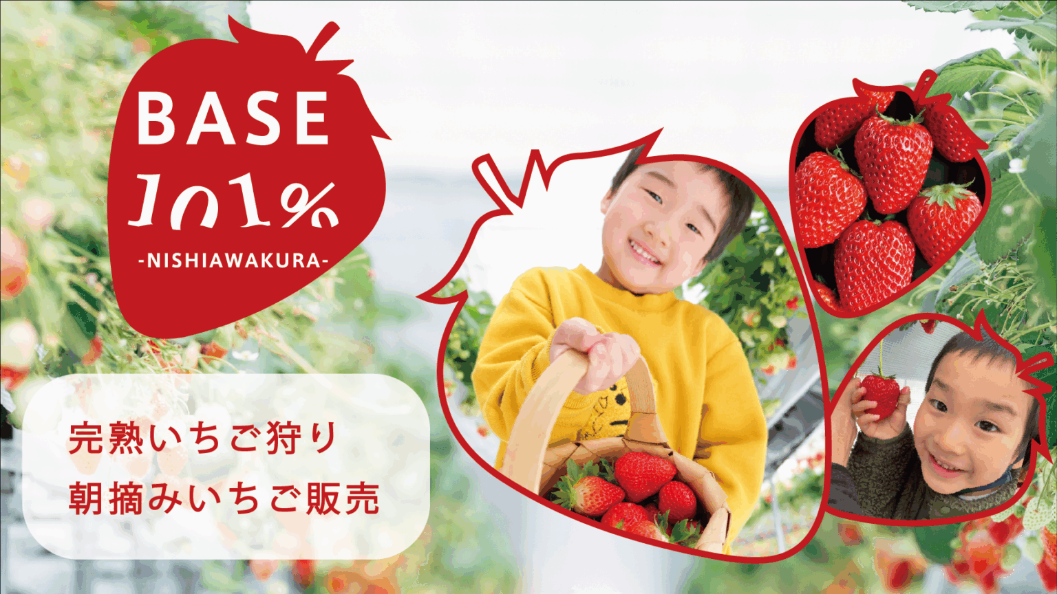 岡山・西粟倉で12月25日からいちご狩り開始 40分食べ放題・予約受け付け中