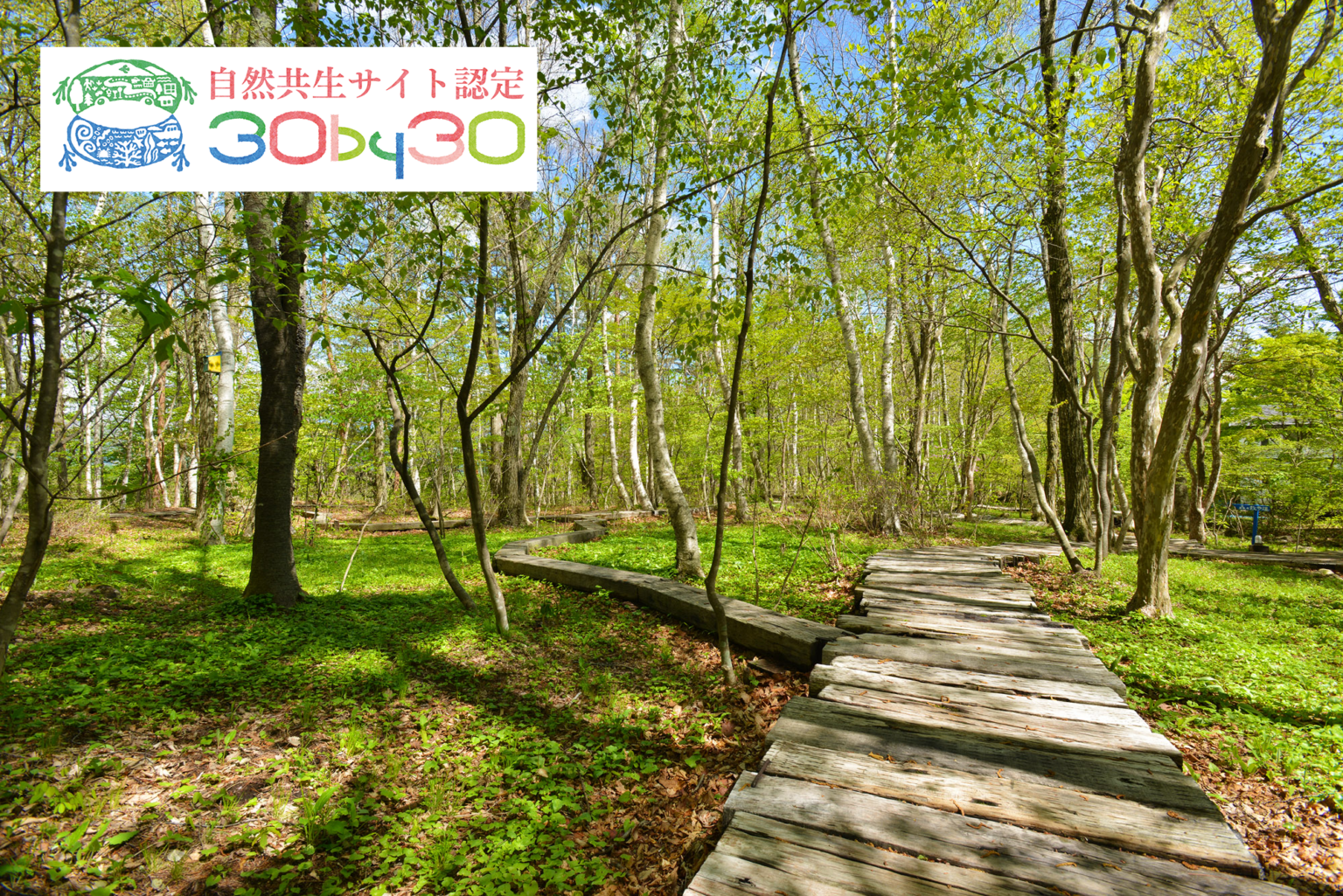 八ヶ岳倶楽部の森が「自然共生サイト」認定、山梨で令和7年度第2回は唯一