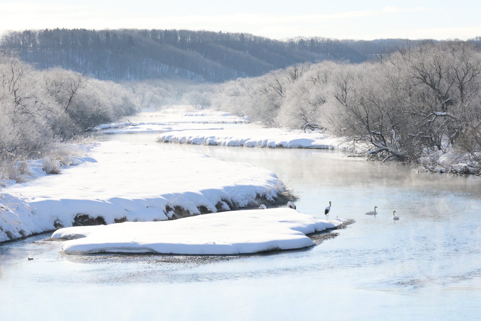 釧路湿原そば7.5haを買い取りへ、鶴居村と協会が寄付150万円募集しメガソーラー回避