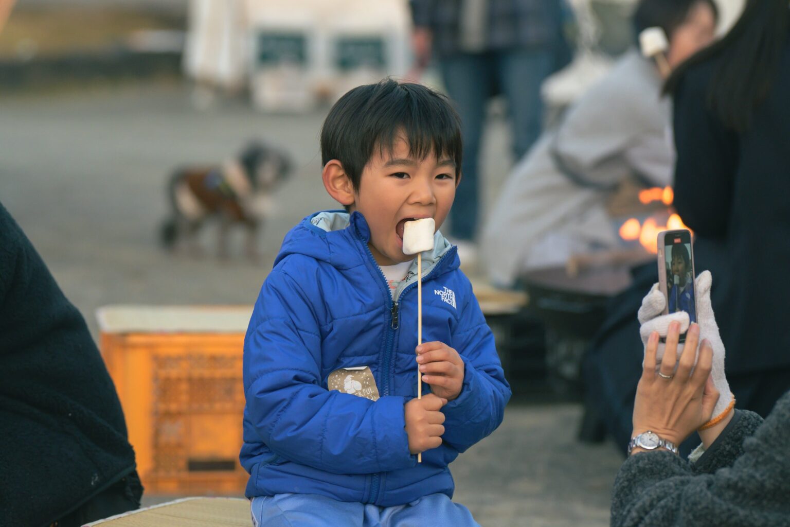駿府城公園で新年イベント、ランタン打ち上げと夜市 餅つき体験は参加無料