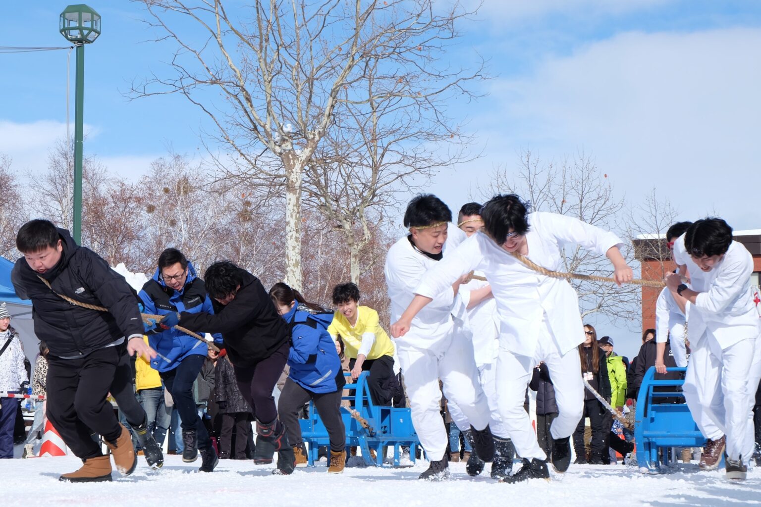 岩見沢「第36回ドカ雪まつり」2月7・8日開催 350kgそりの人間ばんばや6mすべり台、豚汁・キジ鍋の無料配布も