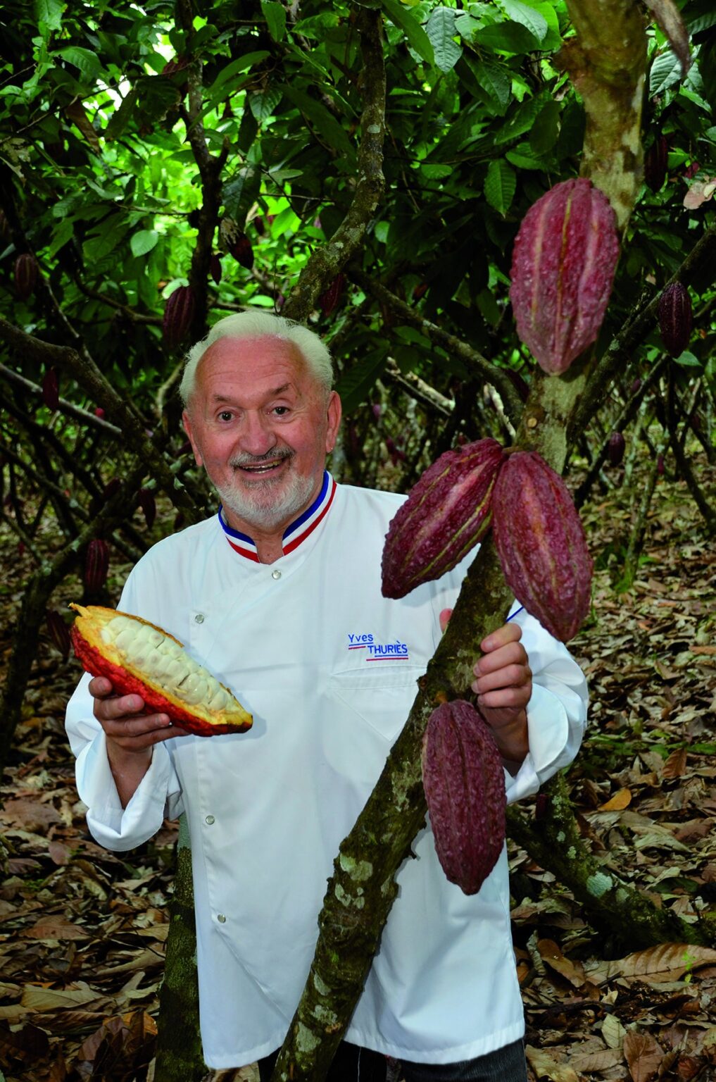 M.O.F.二部門同時受章ショコラティエ「イヴ・チュリエス」の詰め合わせ、2026年バレンタイン向けに4容量で紹介