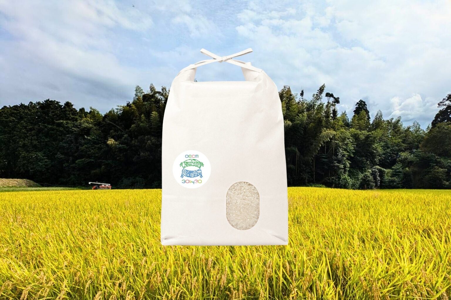 佐賀県初の自然共生サイト産「夢しずく」新米、唐津市のふるさと納税返礼品に