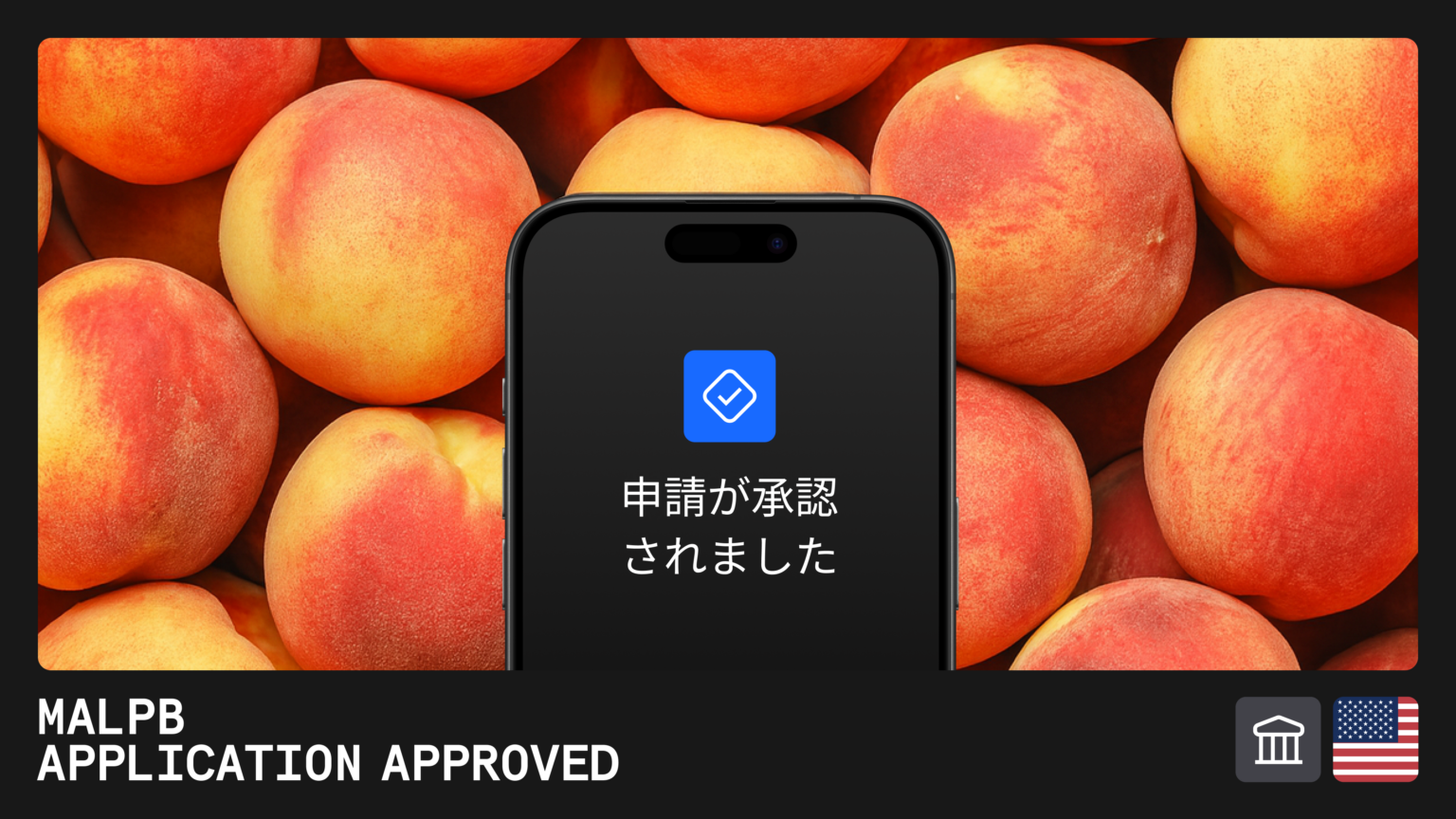 Checkout.com、米ジョージア州でMALPBチャーター承認 2026年に米国で直営アクワイアリング本格化へ