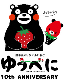 熊本のいちご「ゆうべに」出荷10周年 くまモン記念ロゴで首都圏PRを拡大