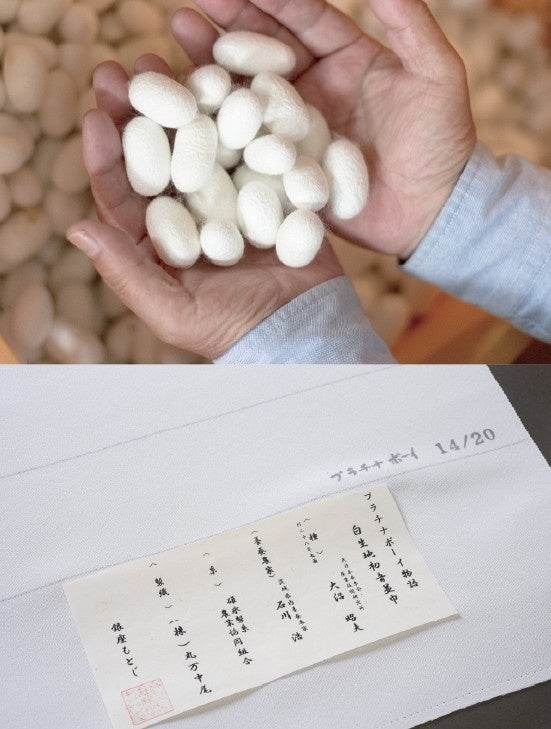 純国産絹糸「プラチナボーイ」20周年展、銀座で3月開催へ 作り手49名が約70点展示