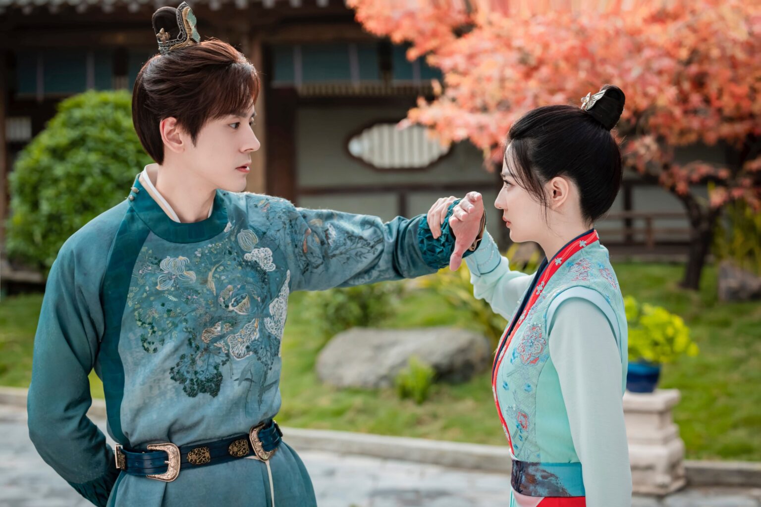 中国ドラマ「荊棘〈いばら〉の花~奪われた私~」DVD-BOXが4月3日発売、配信も決定