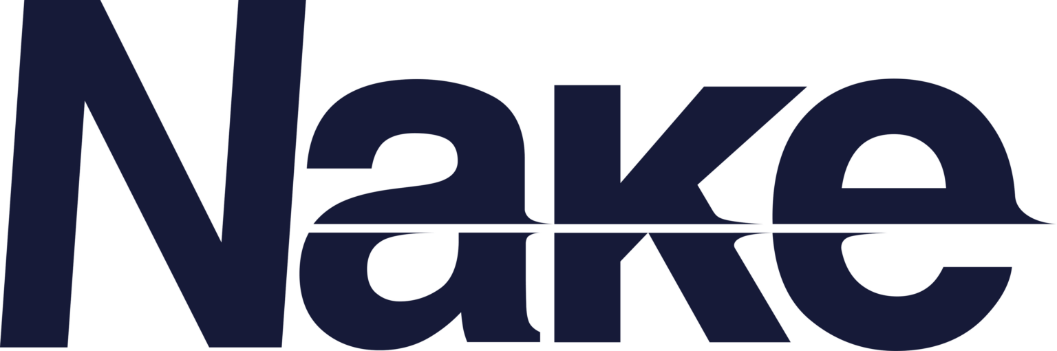 ネイク、治療院向けマーケ支援を本格開始 SEO・MEOや制作まで一括提供