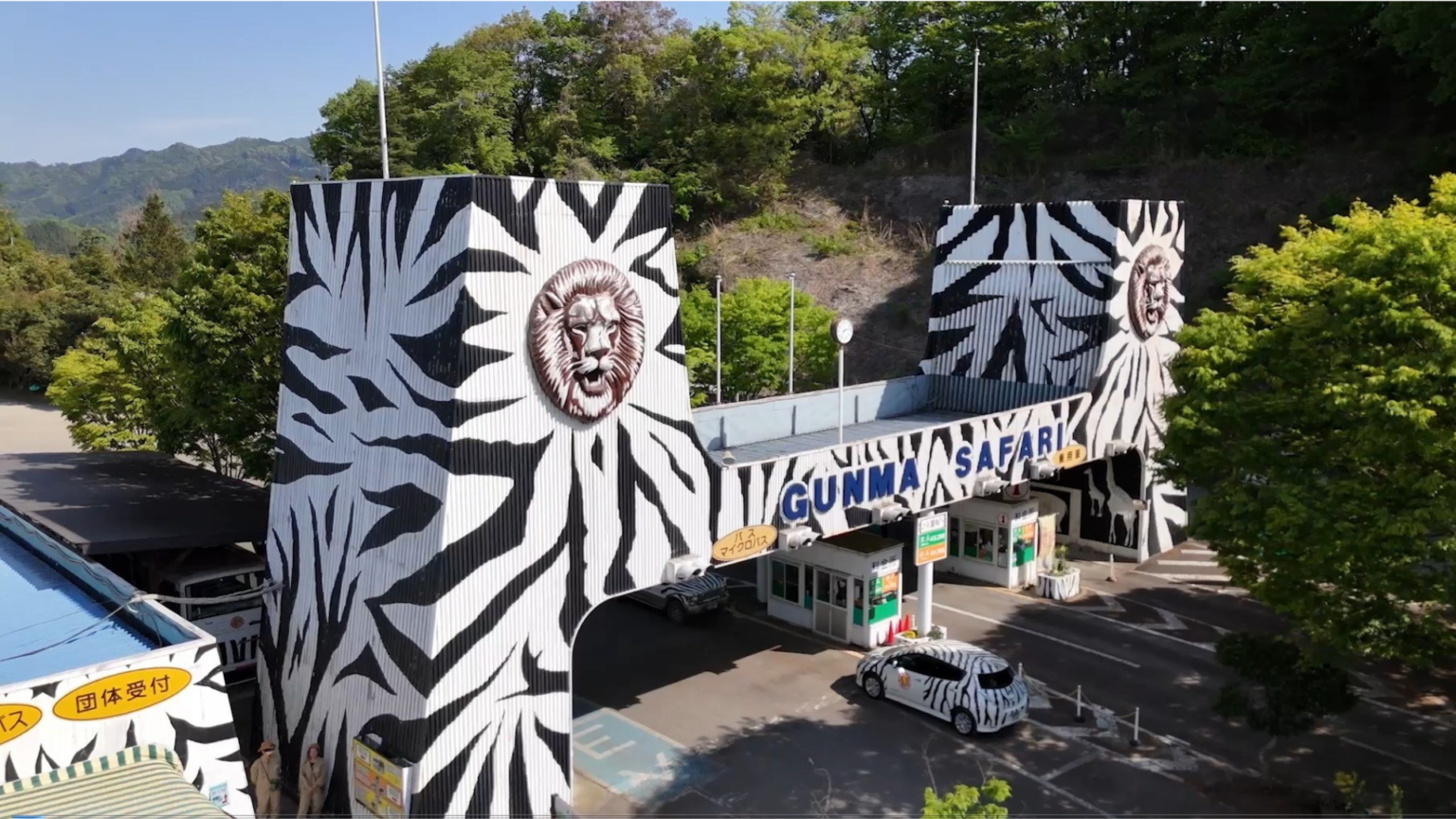 群馬サファリパーク、2026年2月から入園料区分と周遊バス料金を改定 子どもは値下げ