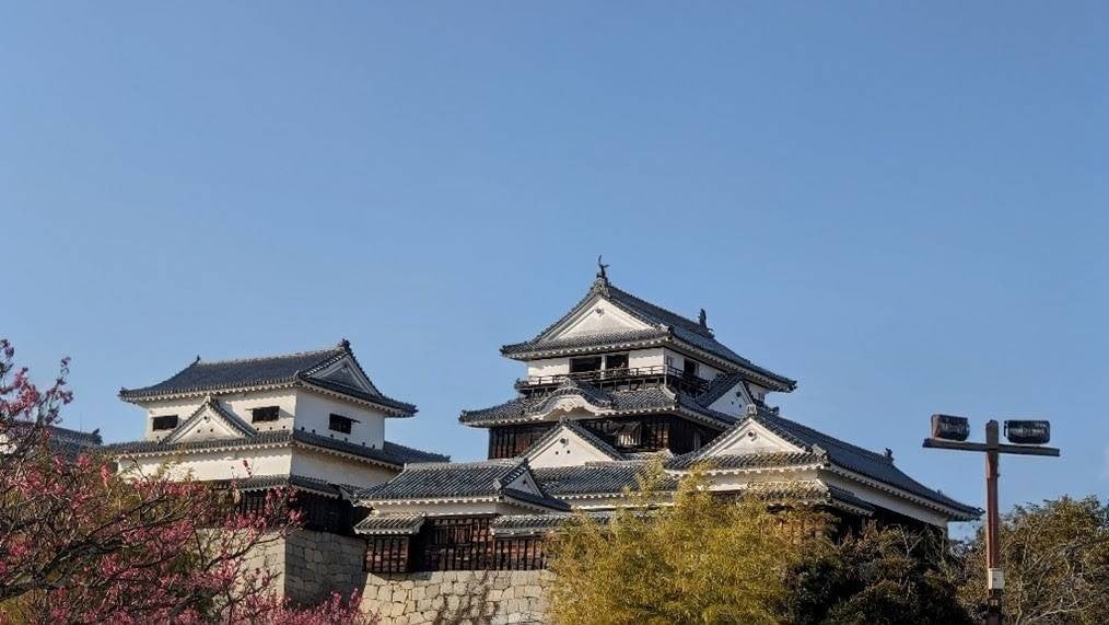 アート不動産、愛媛マラソンで公式記録入りNFT完走証を2年連続支援 約25秒動画に刷新