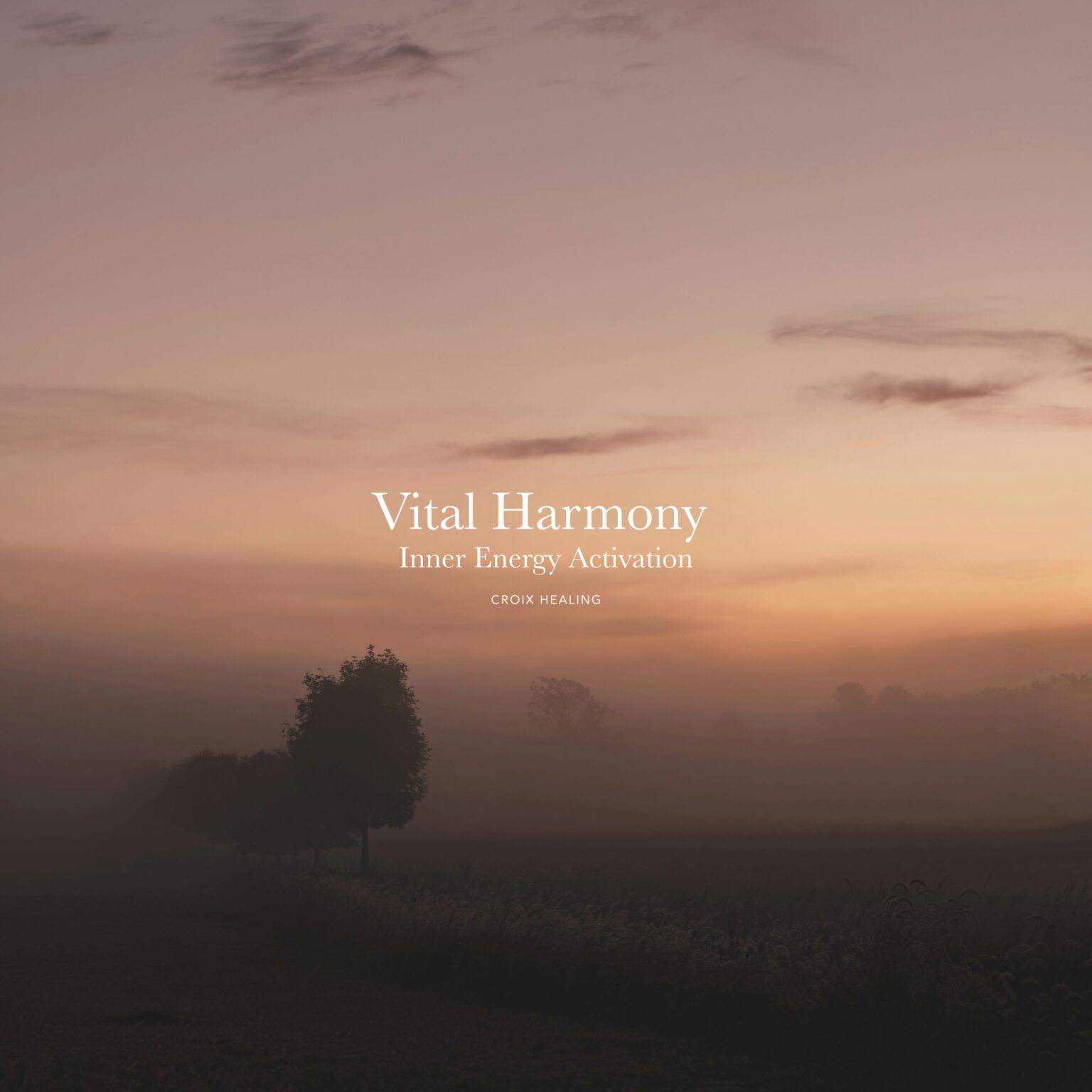 クロアヒーリング、最新アルバム「Vital Harmony」を主要配信サービスで配信開始