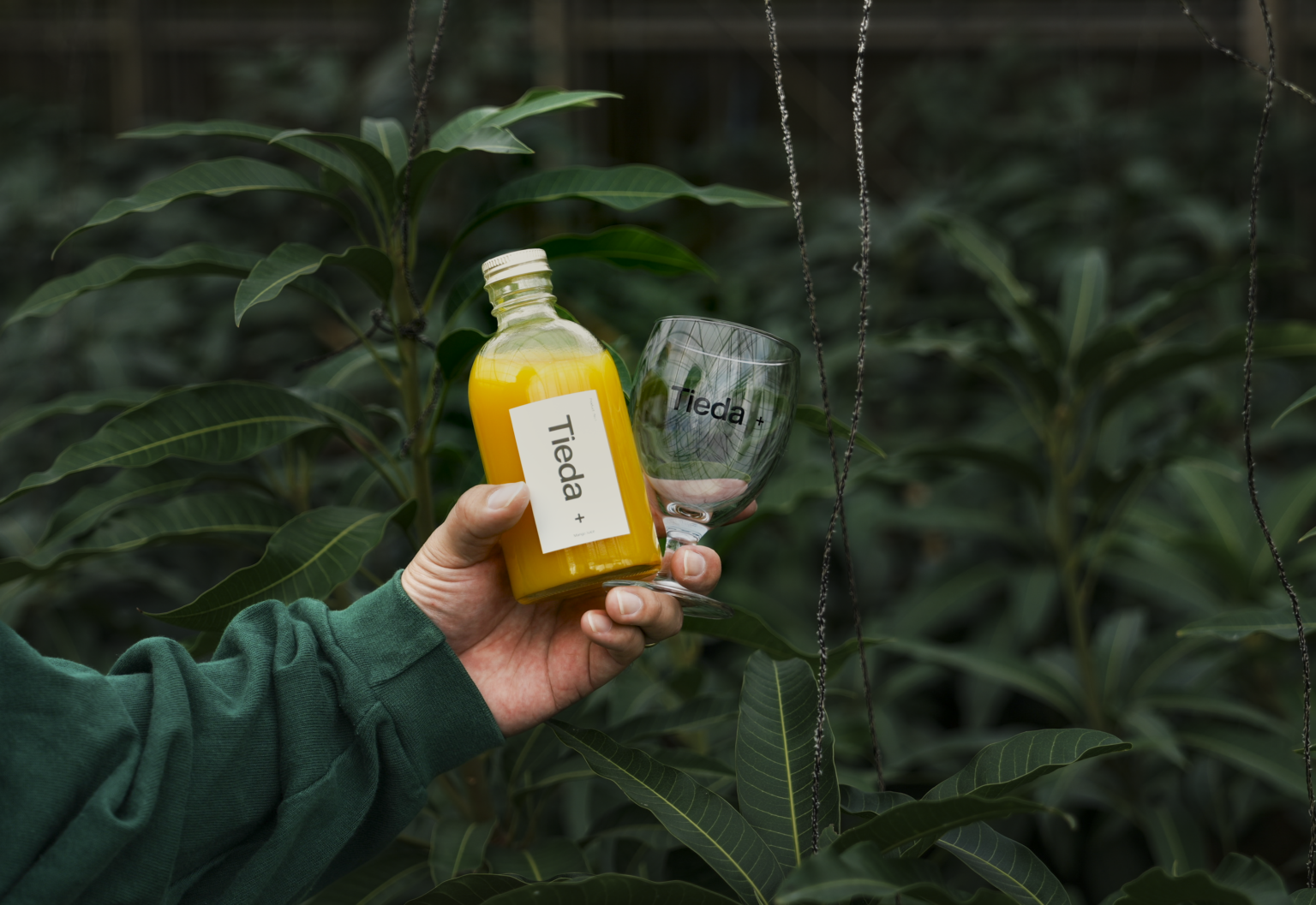 宮古島発「Tieda+」始動 沖縄県産原料だけの無添加マンゴージュース、1カ月で1000本完売