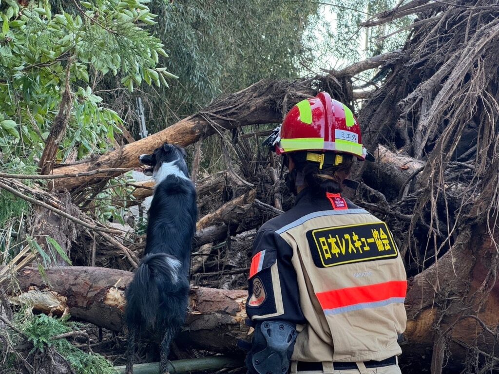 災害救助犬「カミーノ」の育成費、目標30万円で寄付募集 Syncableで2月1日まで