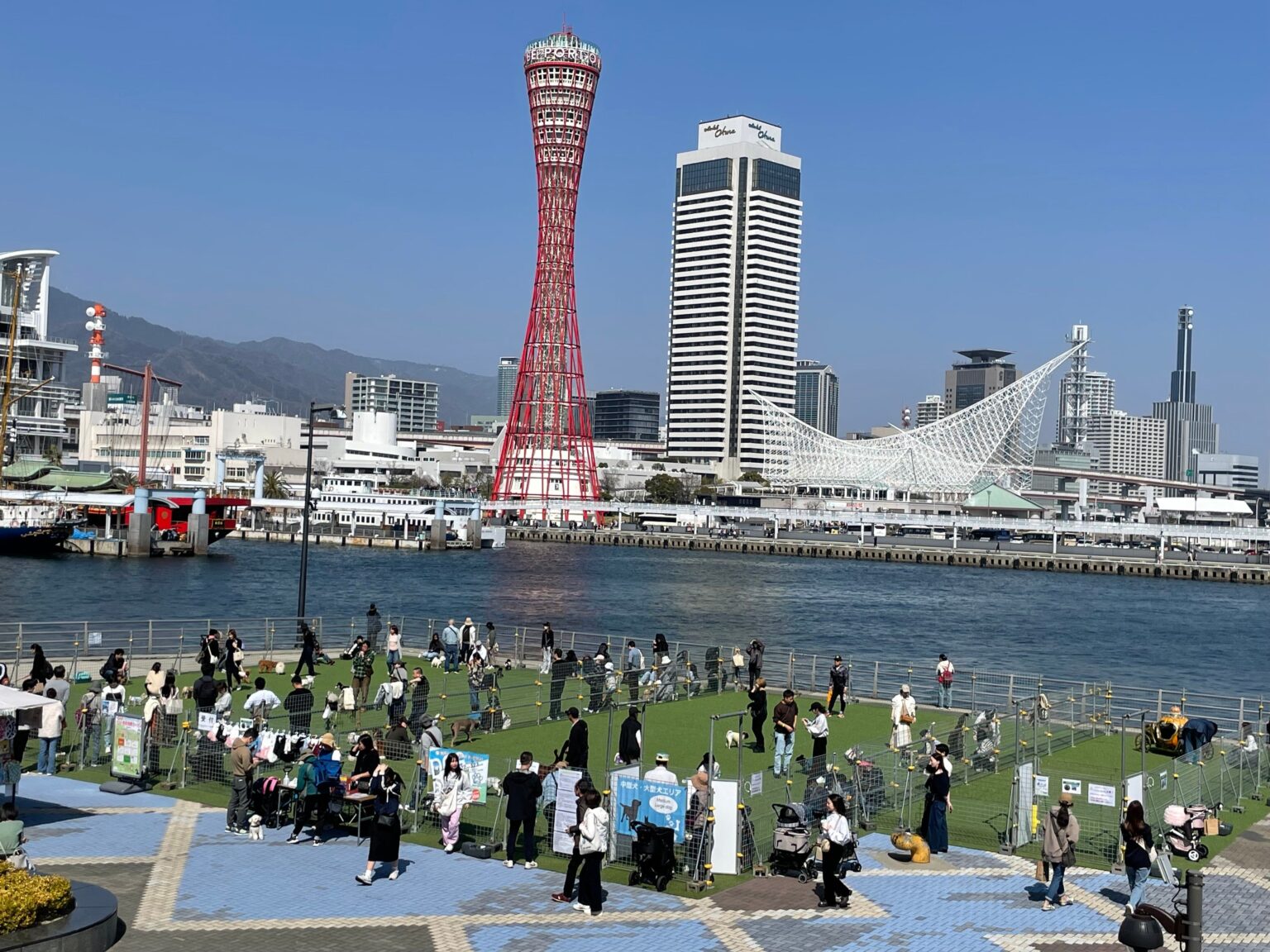 神戸ハーバーランド高浜岸壁で限定ドッグラン「ハーバーワンダーランド」第6回、2月28日から開催