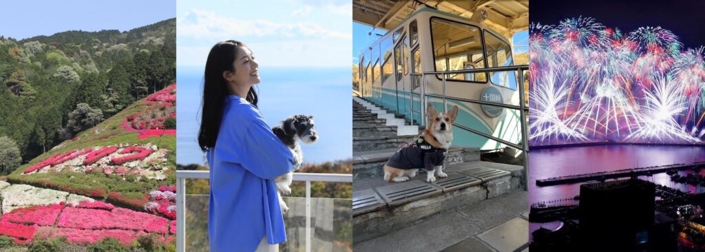 熱海の2026年4月、花と祭りと花火を満喫 しだれ桜約70本やバラ600種、愛犬旅の選択肢も
