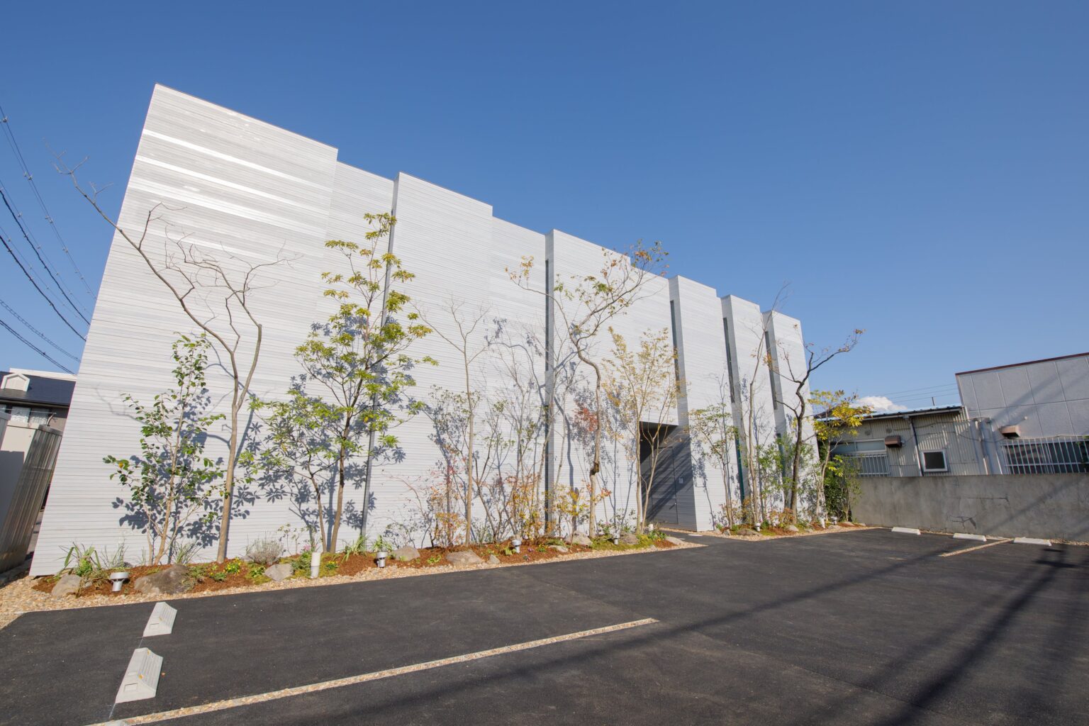 松山の大谷歯科矯正歯科、2025年の矯正相談310件で治療開始184名 約6割が開始に至った理由