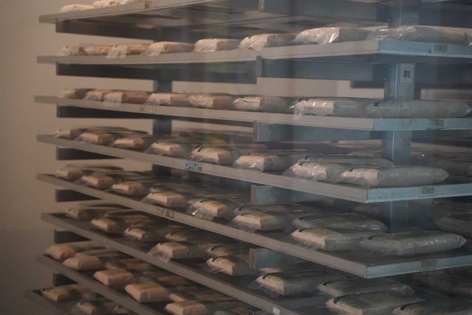 津南醸造、インドネシア・バンドンでテンペ拠点を訪問 微細藻類添加「グリーン・テンペ」実装を協議