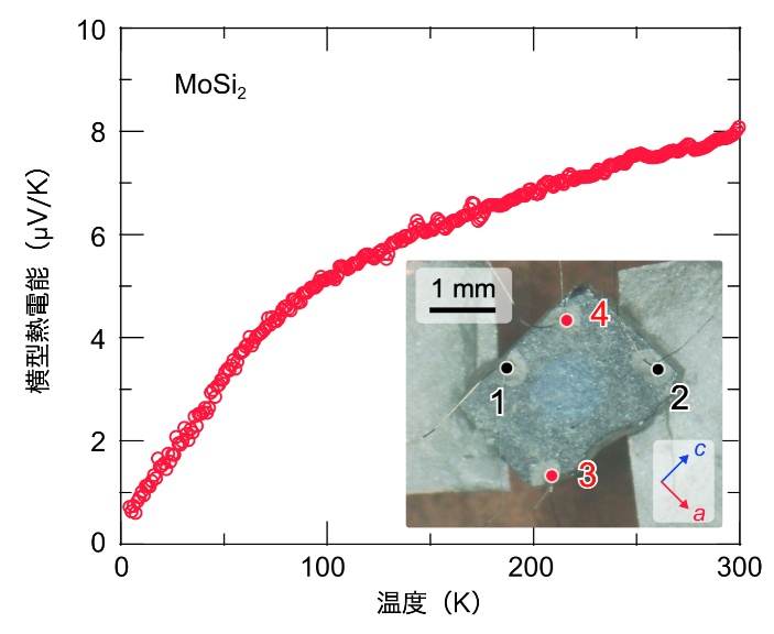 MoSi2が磁場なしで横型熱電変換、室温で8 μV/Kを確認