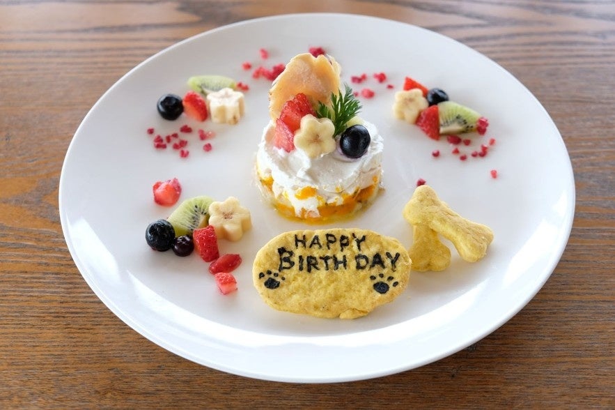 無添加スチーム調理の犬用「ご褒美プレート」、茅ヶ崎の柳島キッチンが1日3食限定で発売