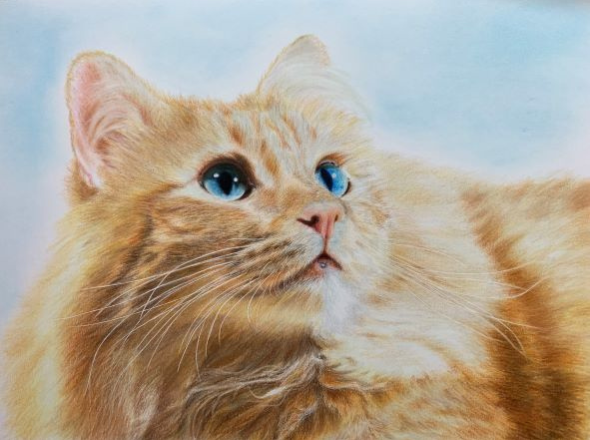 女性誌『クロワッサン』特集でラフのオンライン講座紹介、教材配送と双方向指導で自宅学習を後押し