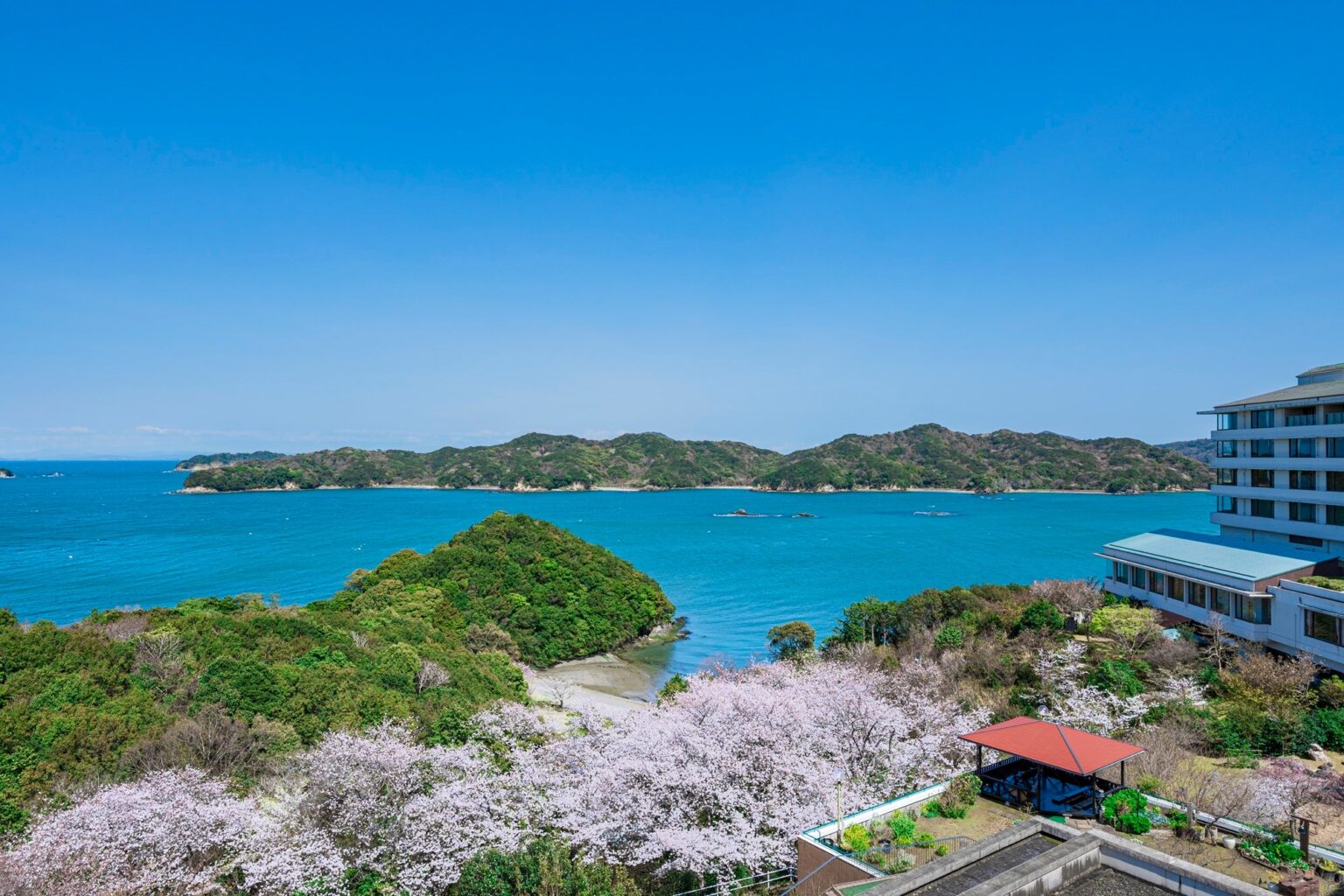 伊勢「旅荘 海の蝶」、桜約2,000本を楽しむ宿泊プランを3/16から1か月限定販売