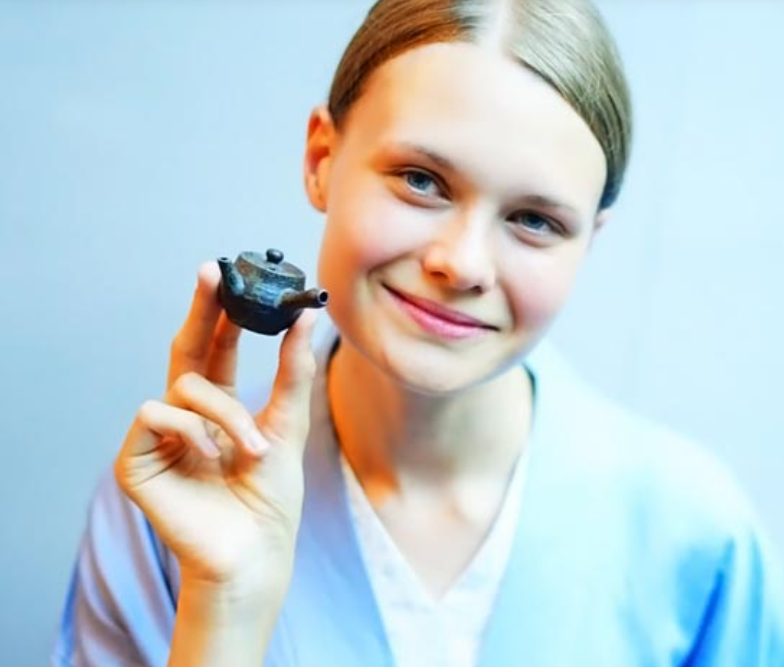 ふくろう、外国人新入社員の福利厚生に煎茶道研修 京都駅前と東山で実施