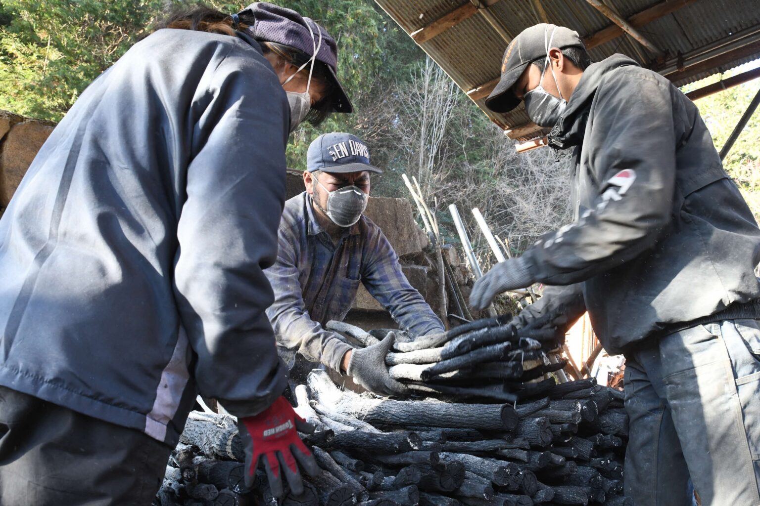 川西・黒川で「一庫炭(菊炭)」の窯出し本格化 窯内100~120℃で15分ごとに作業