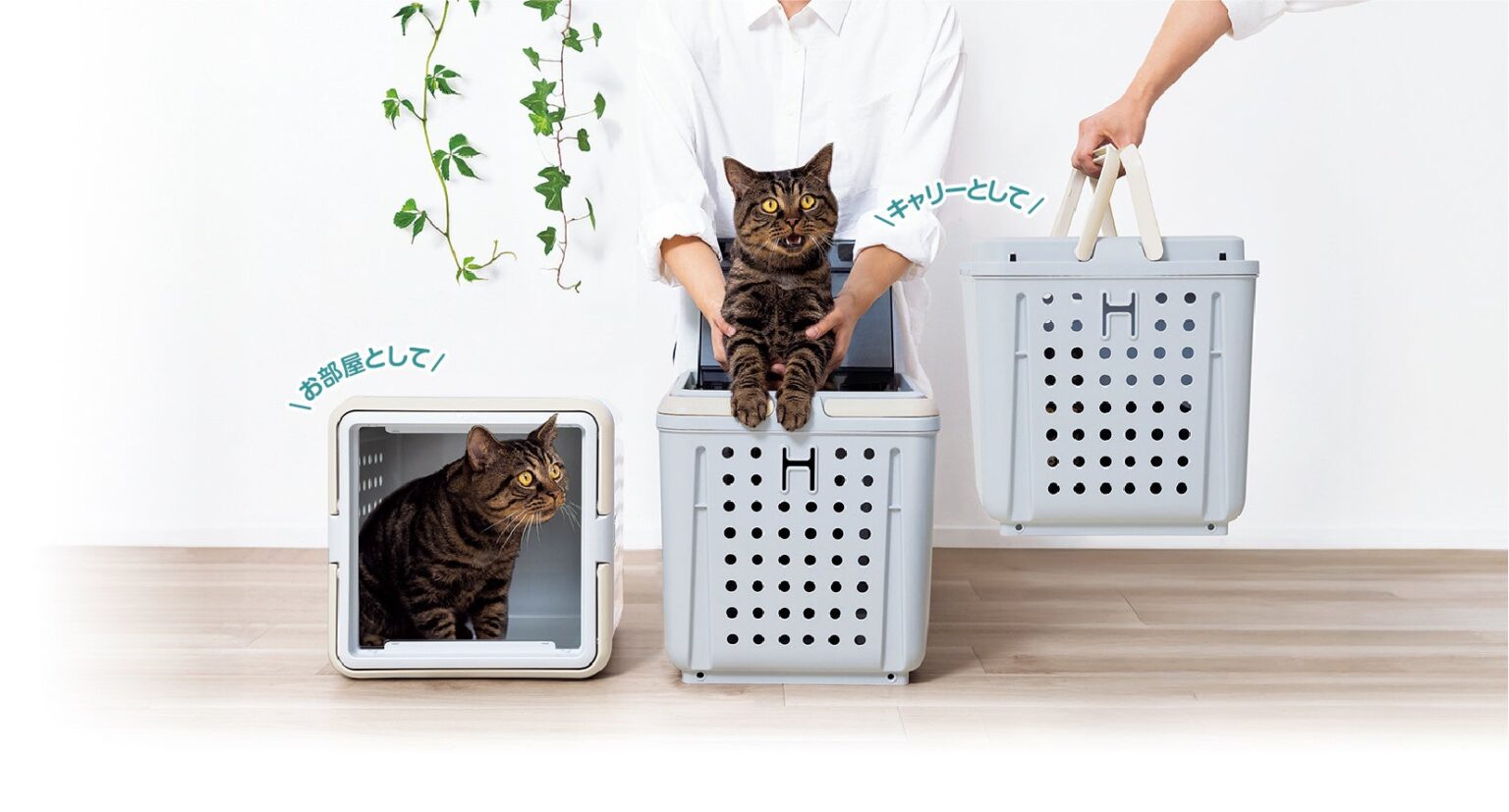 リッチェル、猫用ルーム&キャリー「キュービックルーム」3月下旬発売へ 発売前モニター6人募集