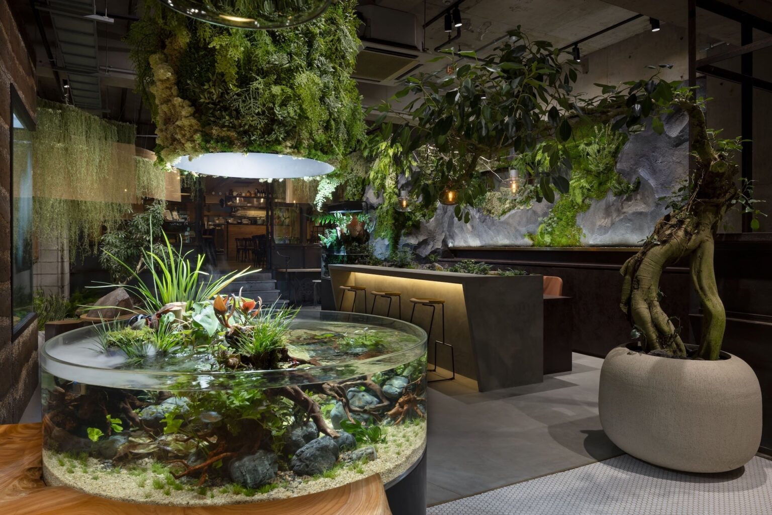 緑演舎、武蔵小山にショールーム「res. base」2/13開業へ 水景と特殊造形グリーンを展示