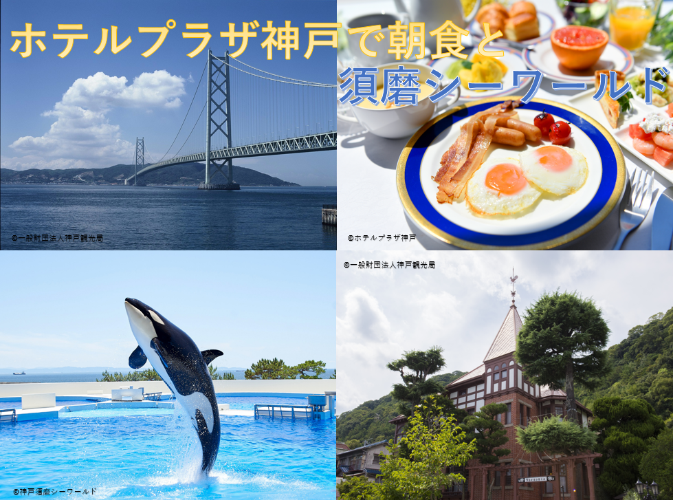 北九州発、阪九フェリー往復で神戸2日観光 朝食バイキングと須磨シーワールド付き団体ツアー