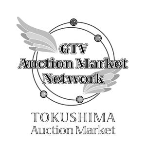 徳島のTokushima Auction Market、フィリピン3地域で総発電60GWめざす電力アライアンス構想