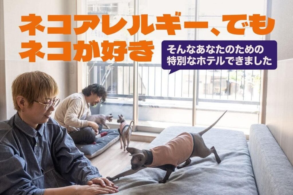 香川・高松で「ヘアレスキャットと泊まれる宿」拡大へ、TEN TO SENがCAMPFIREで支援募集