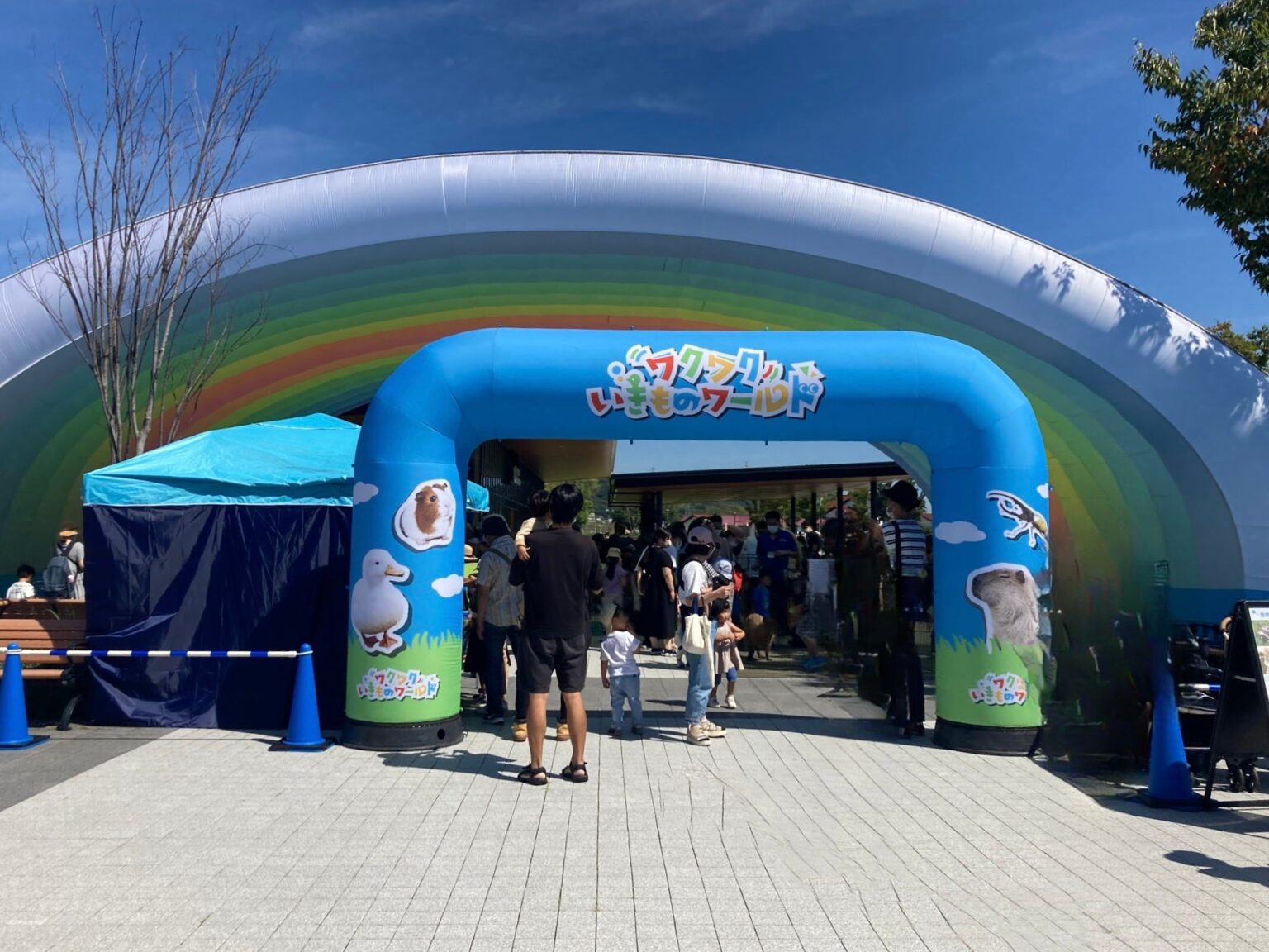 メリケンパークで「ワクワクいきものワールド」開催、30種以上とふれあい体験