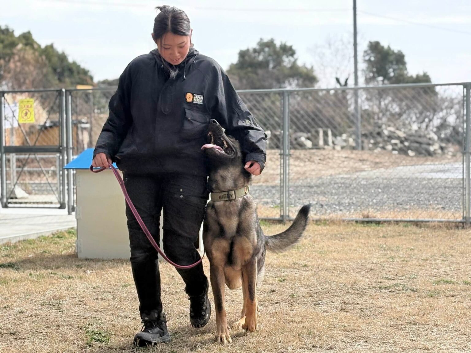 災害救助犬ハンドラー吉川侑里、4月に佐賀県支部MOREWANへ拠点移転 訓練継続へ支援募集
