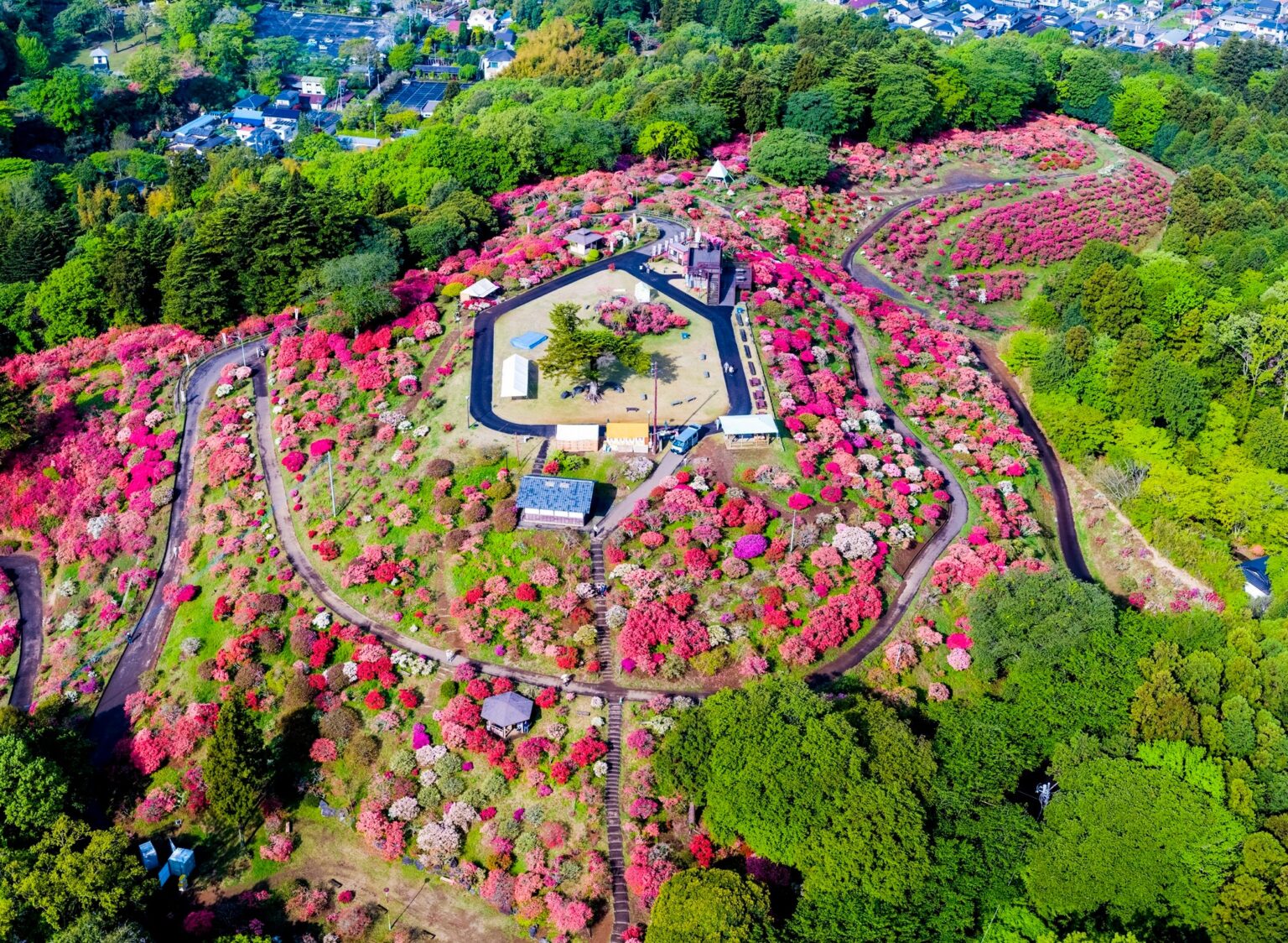 笠間市、愛宕山の桜2,000本と第55回つつじまつりを春観光の柱に周遊提案
