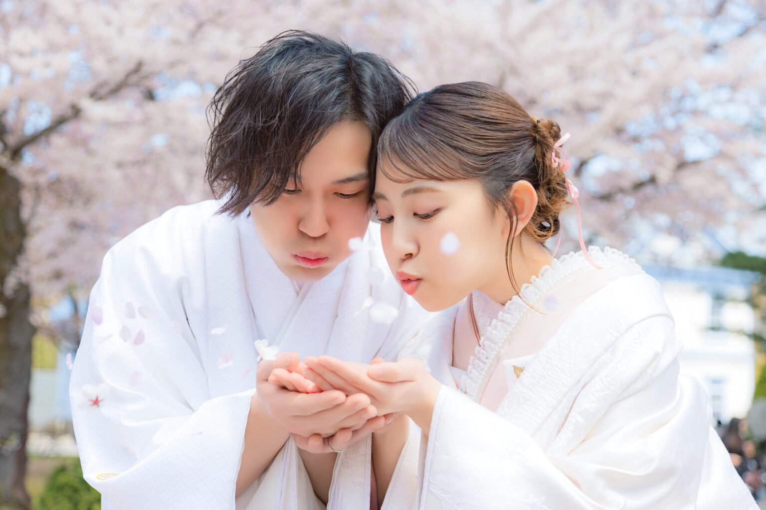 三景スタジオ、札幌などで「桜ロケーションフォト」受付開始へ 新プランは58万800円