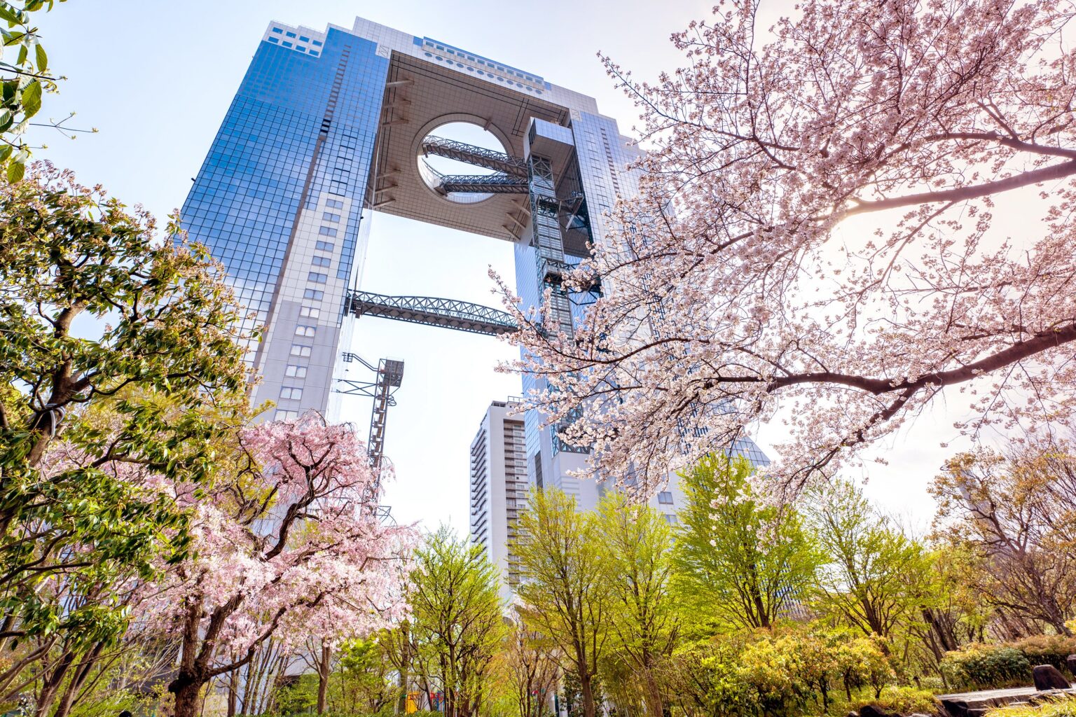 梅田スカイビル「燦宮」、春限定のカクテル1種・モクテル2種を3月3日から提供