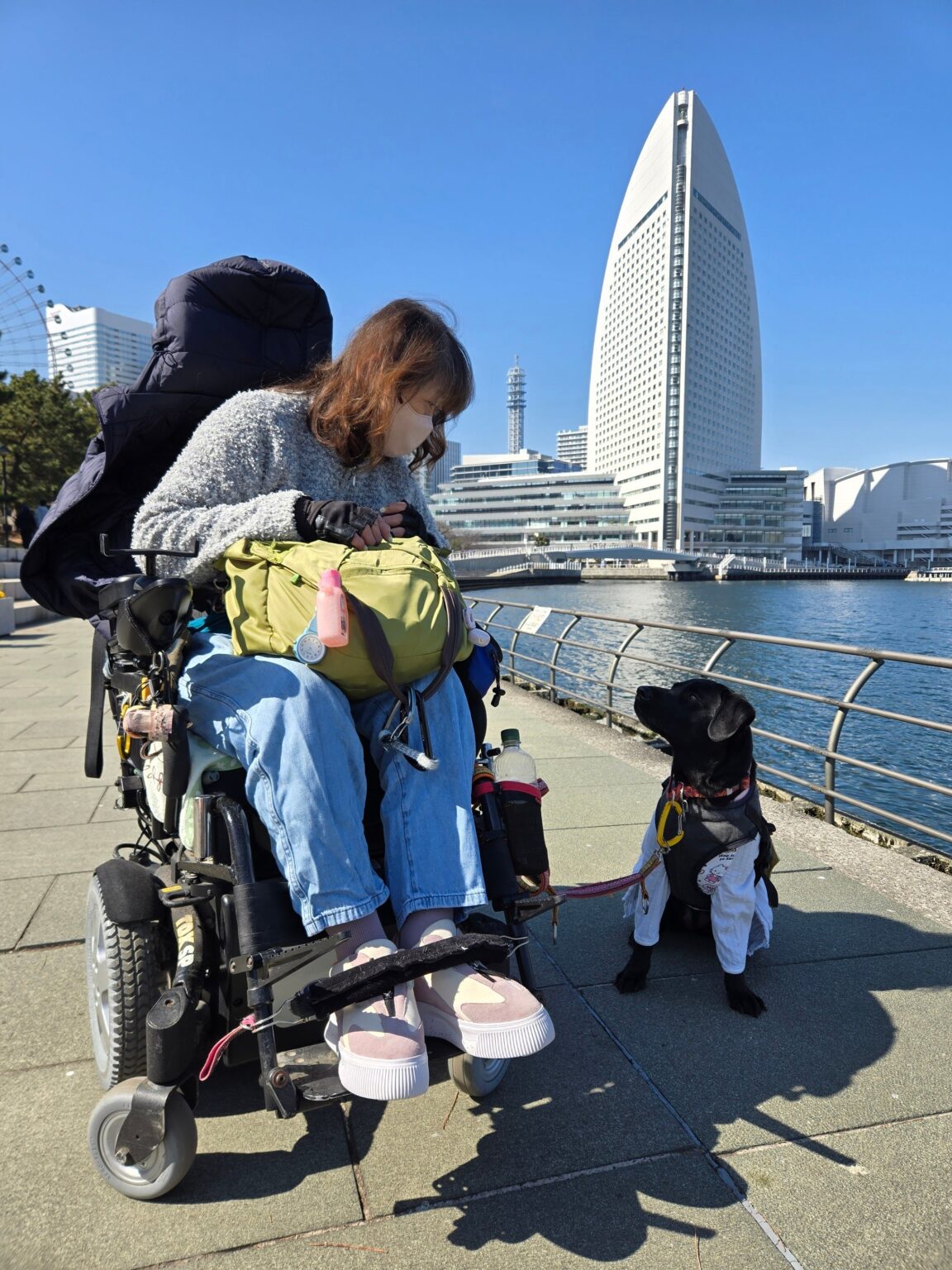 神奈川のジッペラーさんと介助犬ワカバ(3歳)が新認定、全国56ペアに