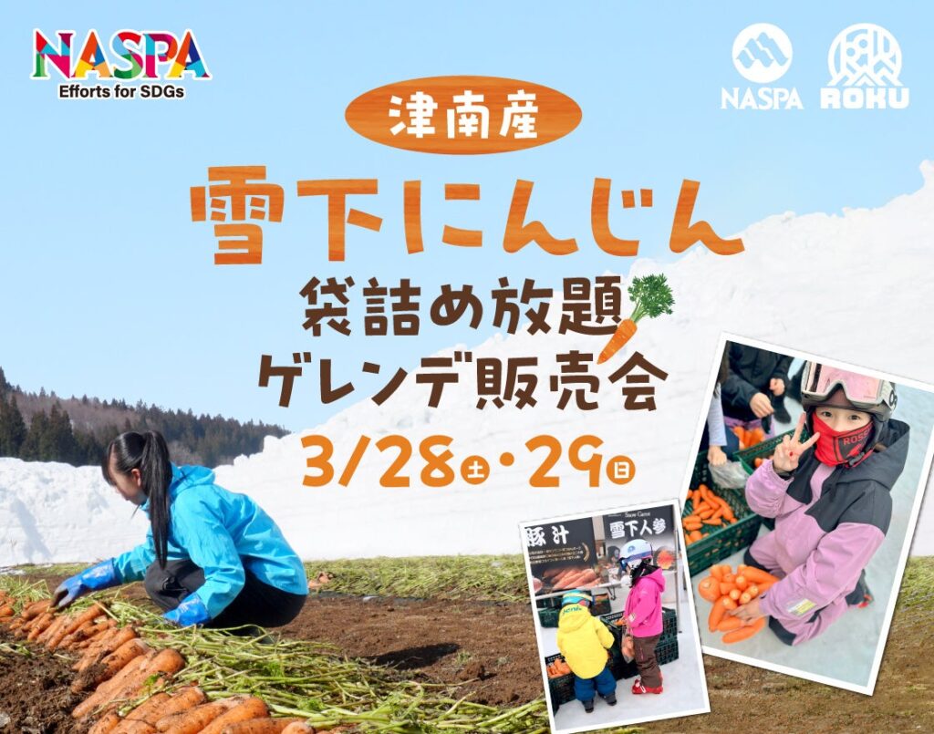NASPAスキーガーデンで津南産雪下にんじん袋詰め放題 1回500円、3月28・29日開催
