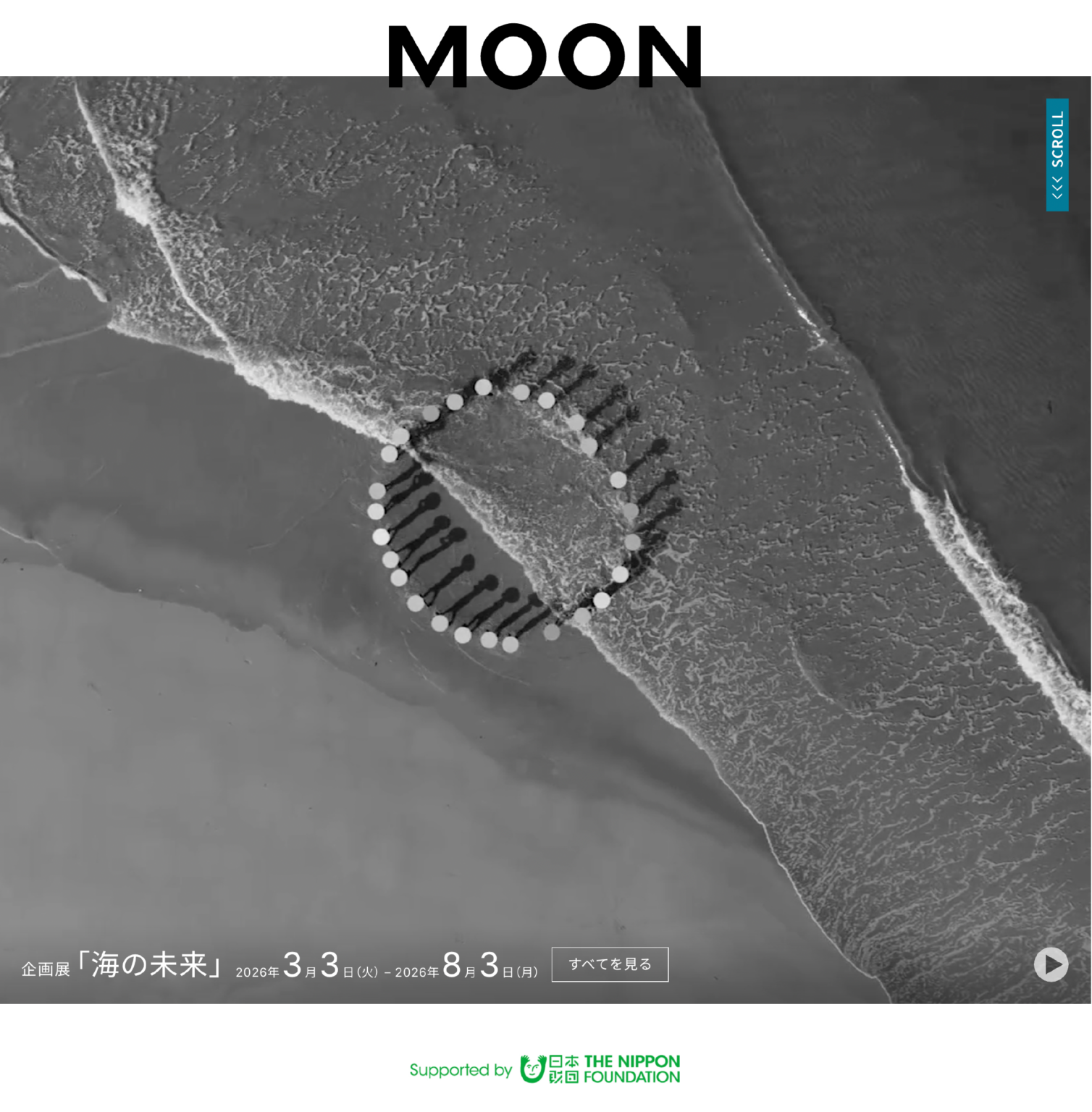 海を学ぶ総合ウェブミュージアム「MOON」公開、企画展「海の未来」は8月3日まで無料