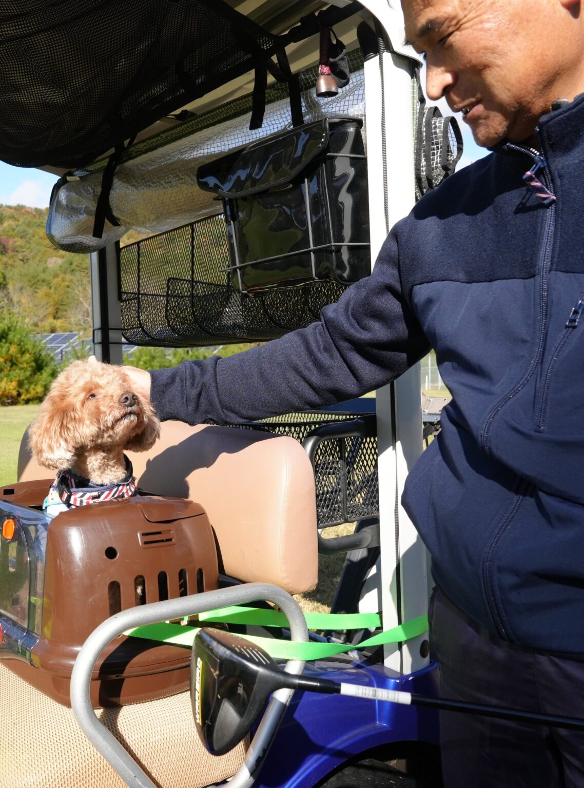 嬬恋高原ゴルフ場、練習4ホールで愛犬同伴プレー開始へ 1組1匹まで