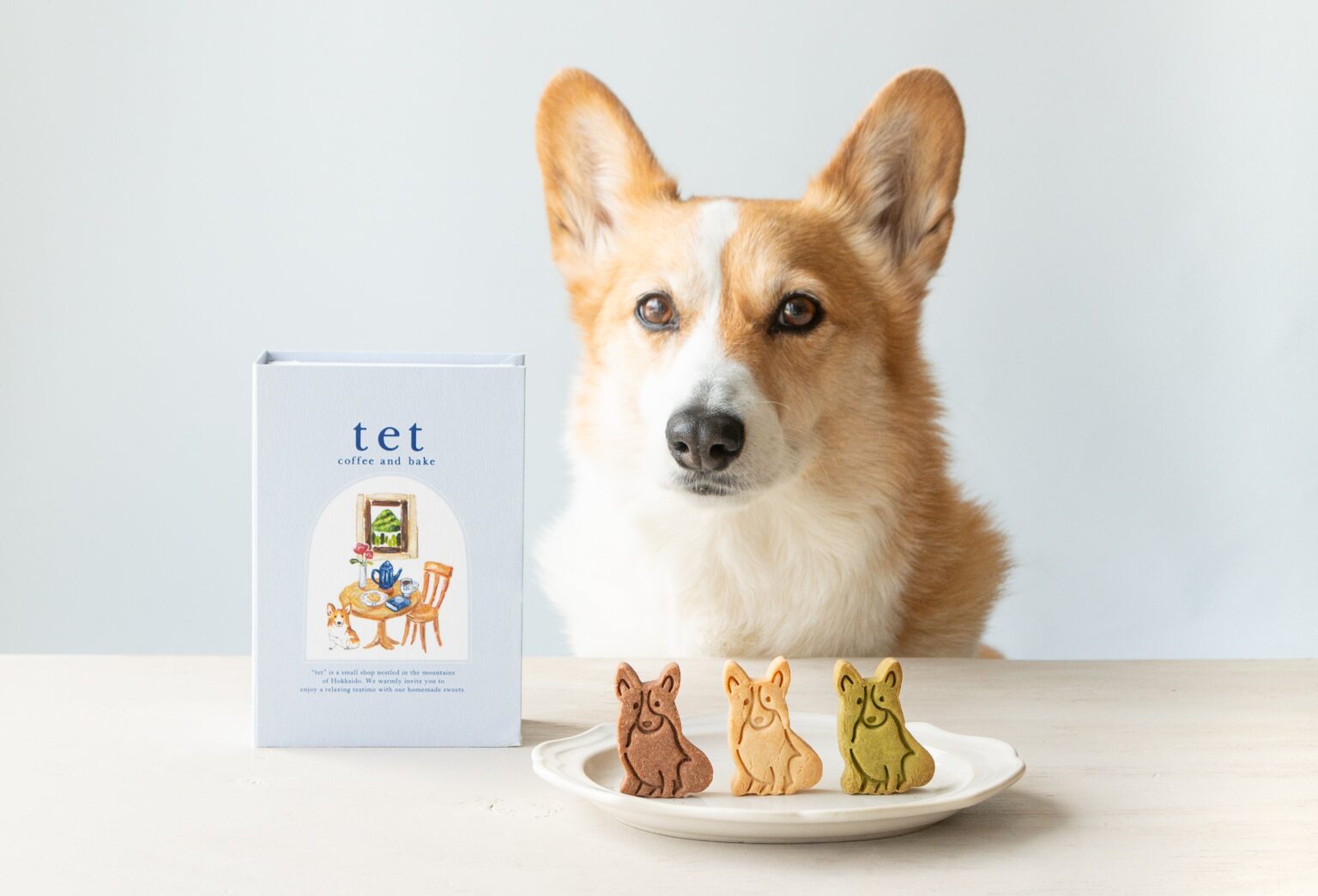 札幌「tet coffee and bake」、本を開くと現れるコーギー型グルテンフリークッキー「tet book」発売